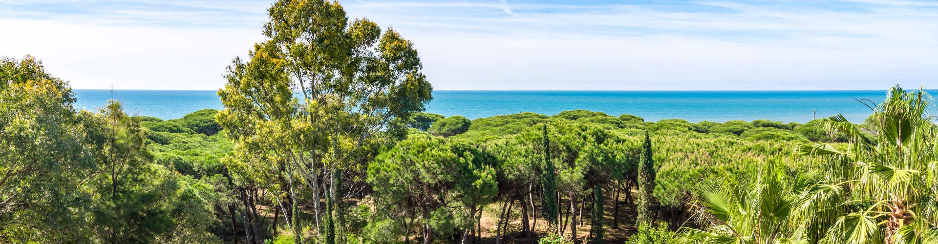 TUI BLUE ISLA CRISTINA PALACE - Isla Cristina, Huelva, Spanien - TUI BLUE ISLA CRISTINA PALACE - Isla Cristina, Huelva, Spanien -